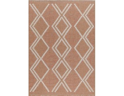 Tapis intérieur extérieur aspect jute terracotta Tijuana 9048 (170 x 120 cm)