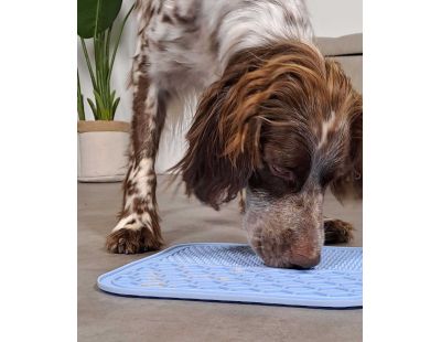 Tapis à lécher pour chien en silicone 30 x 30 cm (Bleu)