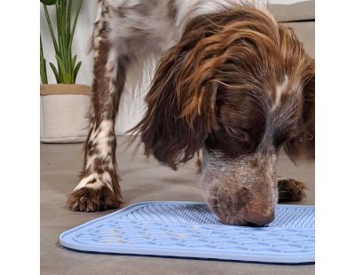 Tapis à lécher pour chien en silicone 20 x 20 cm (Bleu)
