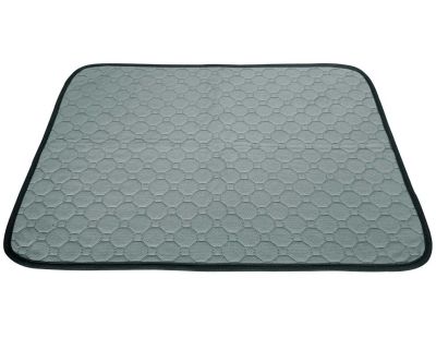 Tapis de propreté absorbant et lavable (M - 50 x 65 cm)