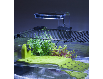 Terrarium pour tortues d'eau Karapas 60 (Noir)