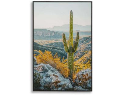 Toile décorative avec cadre Cactus 60 x 4 x 90 cm (Modèle 2)