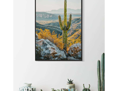 Toile décorative avec cadre Cactus 60 x 4 x 90 cm (Modèle 2)
