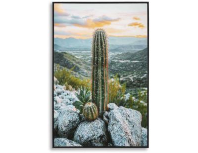 Toile décorative avec cadre Cactus 60 x 4 x 90 cm (Modèle 1)