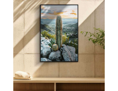 Toile décorative avec cadre Cactus 60 x 4 x 90 cm (Modèle 1)