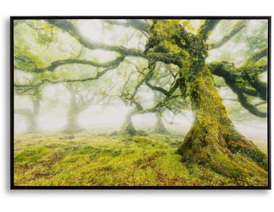 Toile décorative avec cadre Forest 90 x 4 x 60 cm
