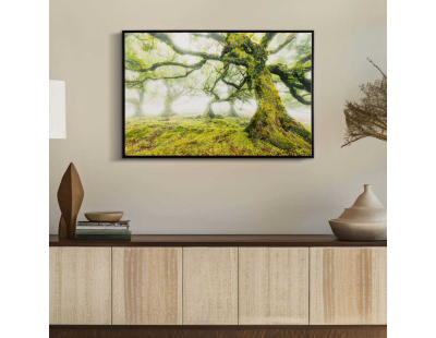 Toile décorative avec cadre Forest 90 x 4 x 60 cm