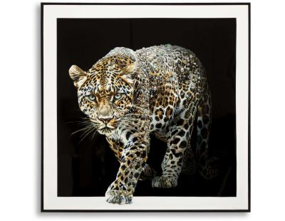 Toile décorative avec cadre Jaguar 82 x 4 x 82 cm (Modèle 2)