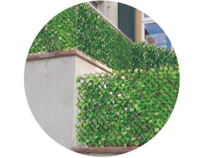Treillis en bois de saule feuilles de rosier (Lot de 6)