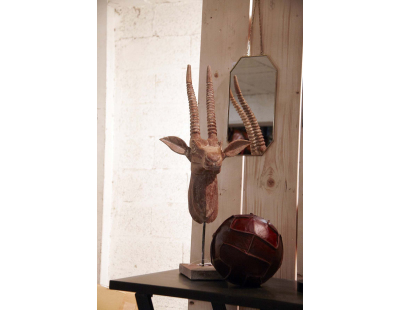Trophée d'antilope 