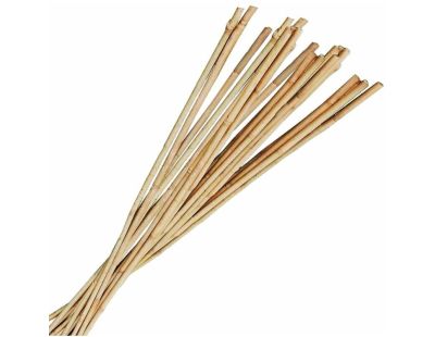 Tuteur bambou 1m80 (Lot de 10)
