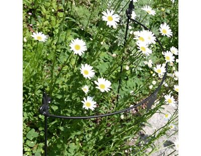 Tuteur à plantes demi-cercle en acier fleur de lys (60 cm)