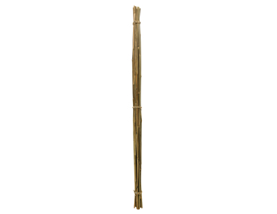 Tuteurs en bambou naturel (Lot de 20)