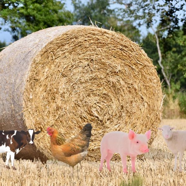 Animal de la ferme décoratif sur pic - ESSCHERT DESIGN