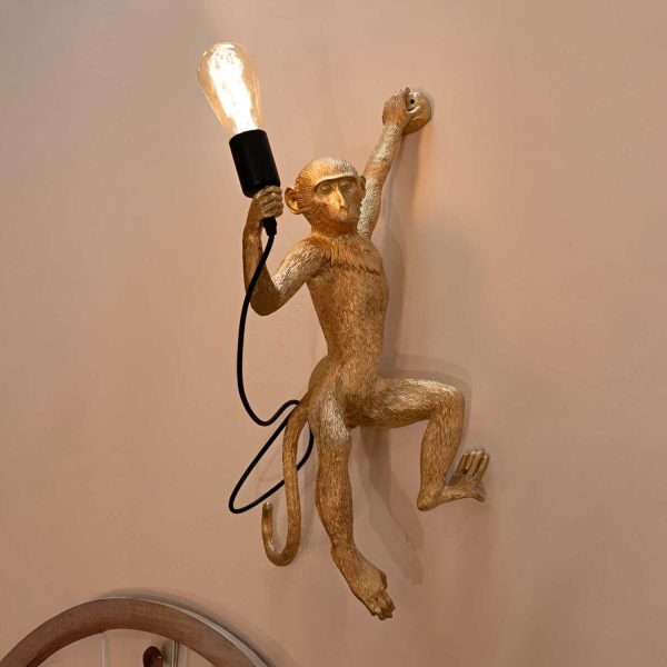 Applique murale en polyrésine Monkey 32 x 32 x 64 cm - MAURO FERRETTI