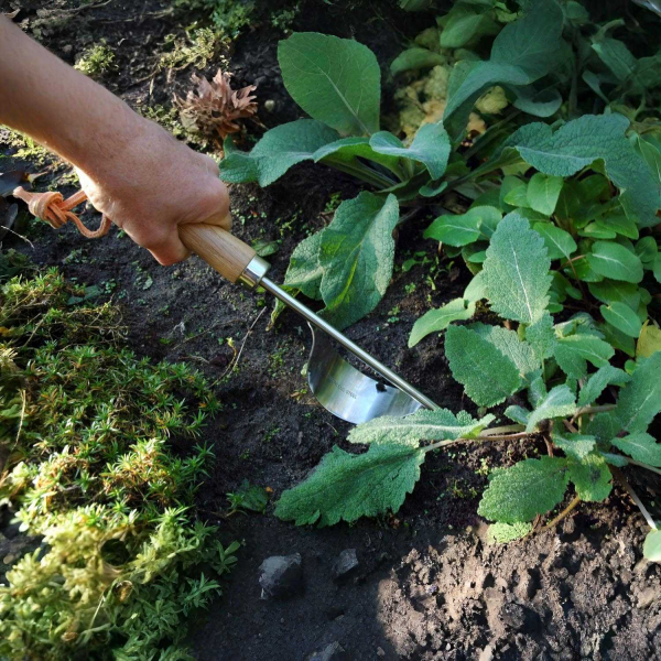 Arrache-racines en acier inoxydable et bois de frêne - GARDEN TOOLS