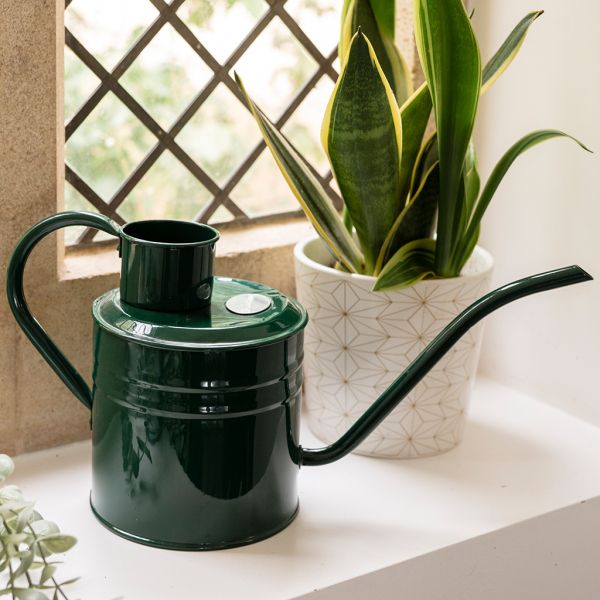 Arrosoir en acier galvanisé 2 litres - KENT & STOWE