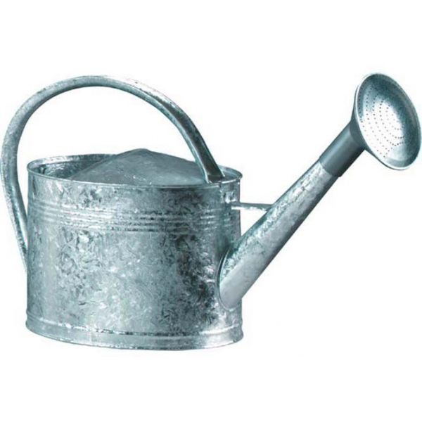 Arrosoir acier galvanisé avec pomme - GUI-0119