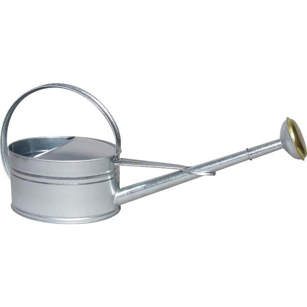 Arrosoir bec long 5 litres avec pomme en acier galvanisé