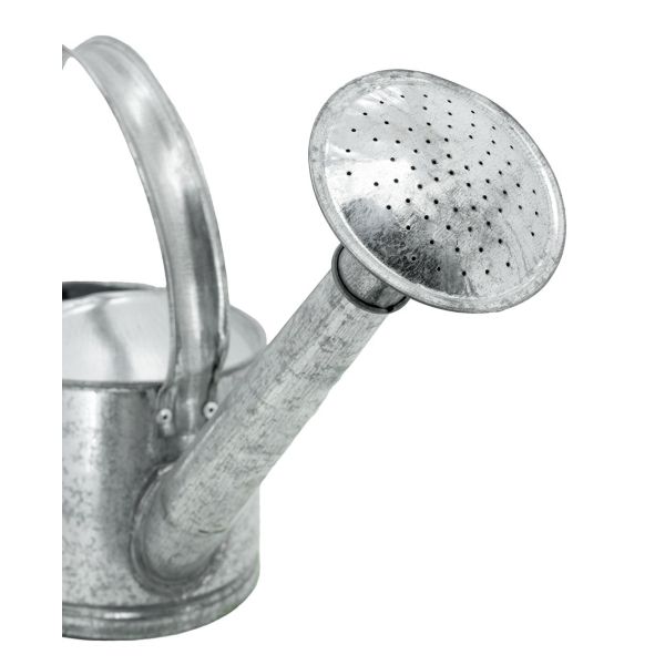 Arrosoir en zinc 5 litres - 34,90