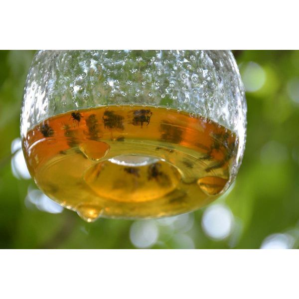 Attrape guêpes en verre chiné - ESS-0614