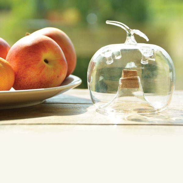 Attrape mouches en forme de pomme - ESSCHERT DESIGN