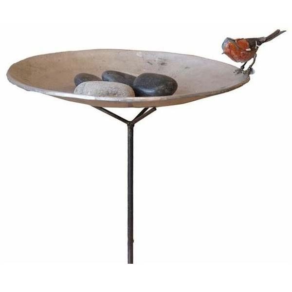 Bain sur pied et galet avec un oiseaux