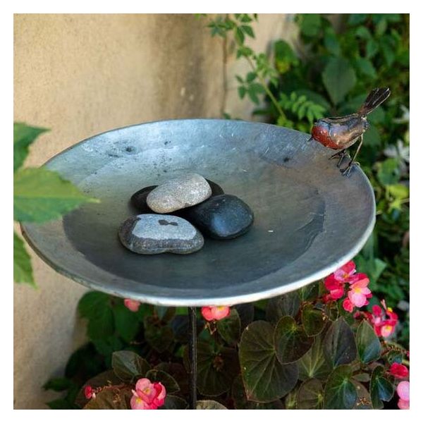 Bain sur pied et galet avec un oiseaux - ARROSOIR & PERSIL