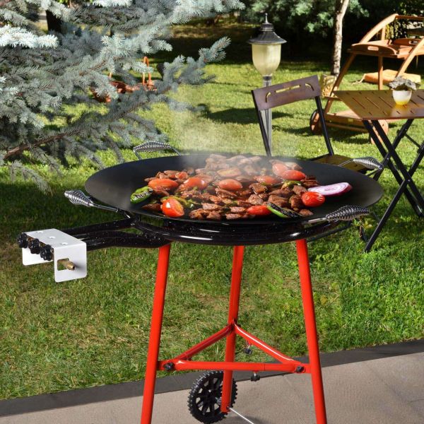 Barbecue au gaz Grill - HANAH HOME