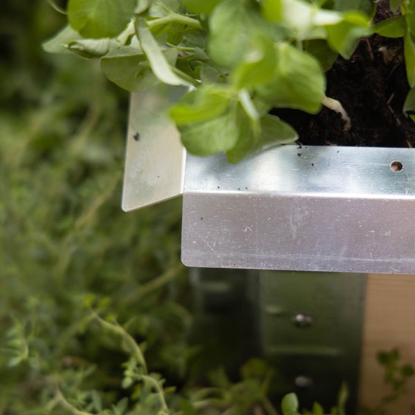 Barrière à escargot pour carré potager Gardenbox - UPYARD
