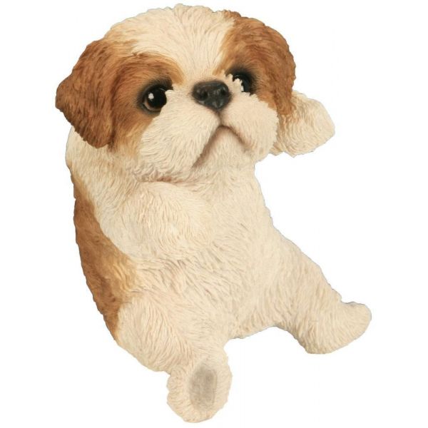 Bébé shih tzu jouant 18 cm