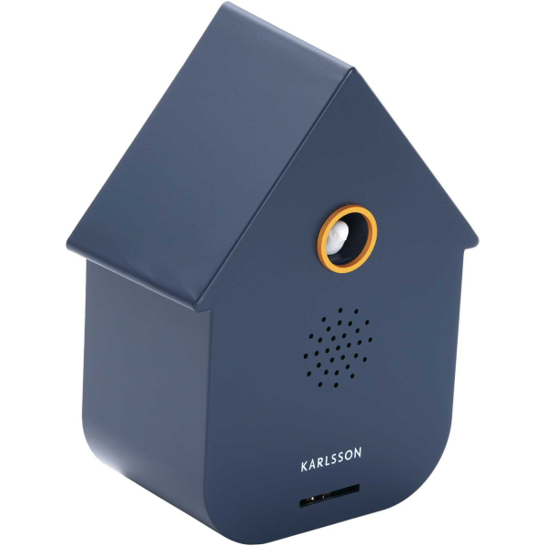 Boîte à son Modern Cuckoo