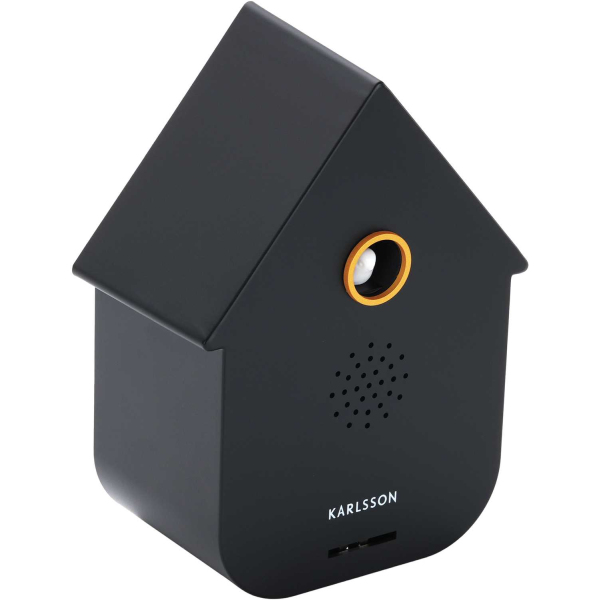 Boîte à son Modern Cuckoo