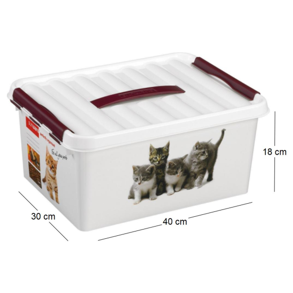 Boite Q-line motif animaux - 5