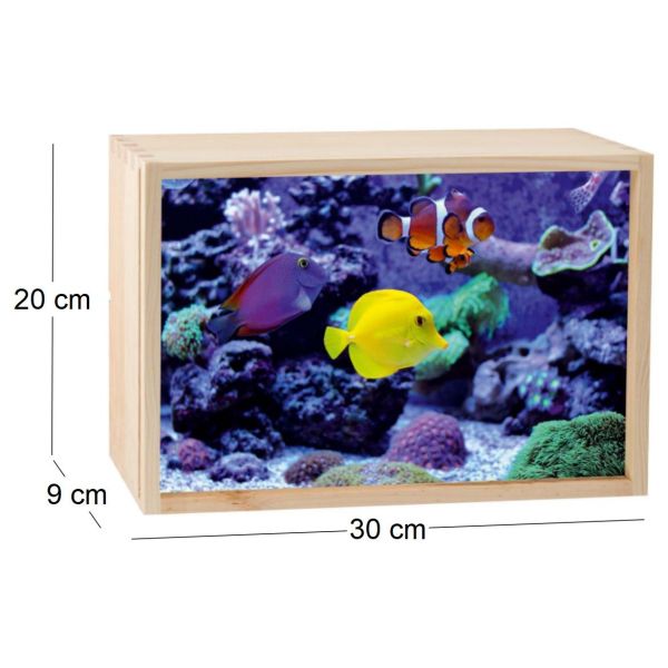 Boite lumineuse LED 30x20 cm - CON-0133