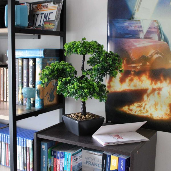 Bonsaï artificiel en pot 37 cm modèle aléatoire - 7