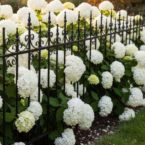 Bordure de jardin en métal 156 x 2,2 x 117 cm - ESSCHERTS GARDEN