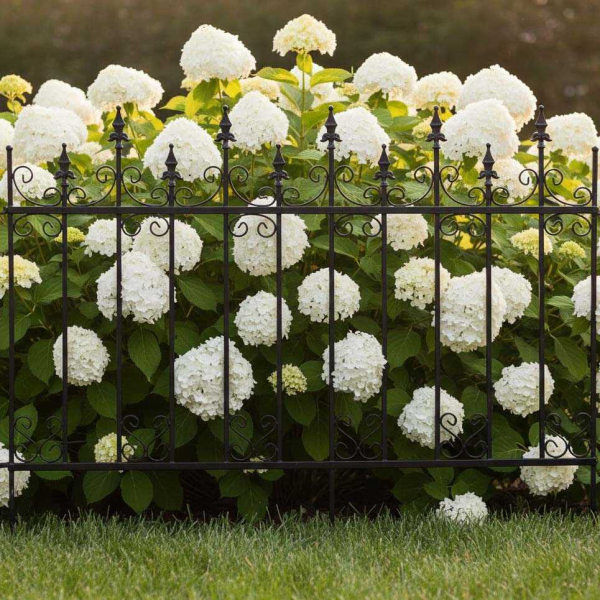 Bordure de jardin en métal 156 x 2,2 x 117 cm - 94,90