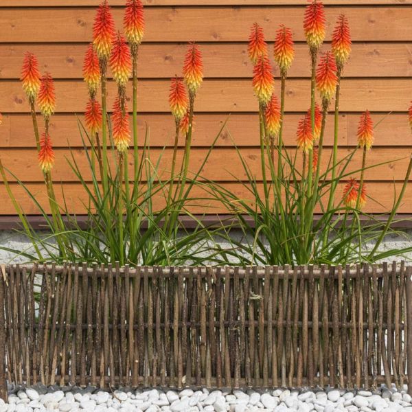 Bordure en noisetier - AUBRY GASPARD