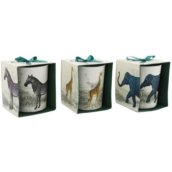 Bougie en pot Safari 8 x 10 cm (Lot de 3)