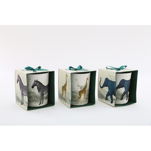 Bougie en pot Safari 8 x 10 cm (Lot de 3) - SIL