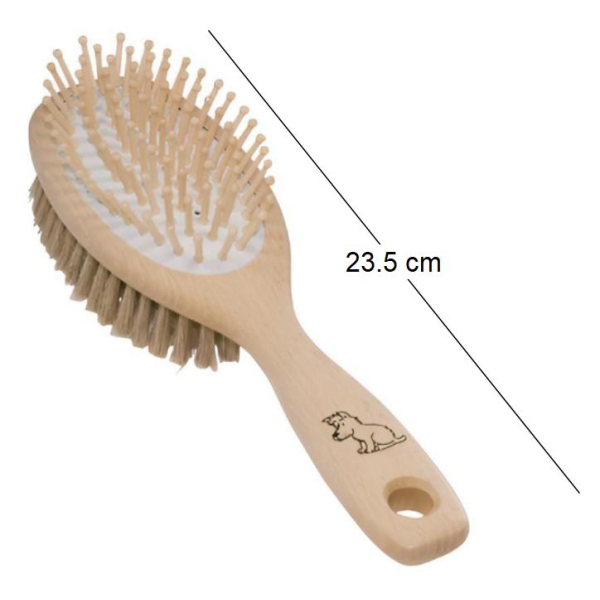 Brosse chien en soies claires et tiges de bois - 8,95