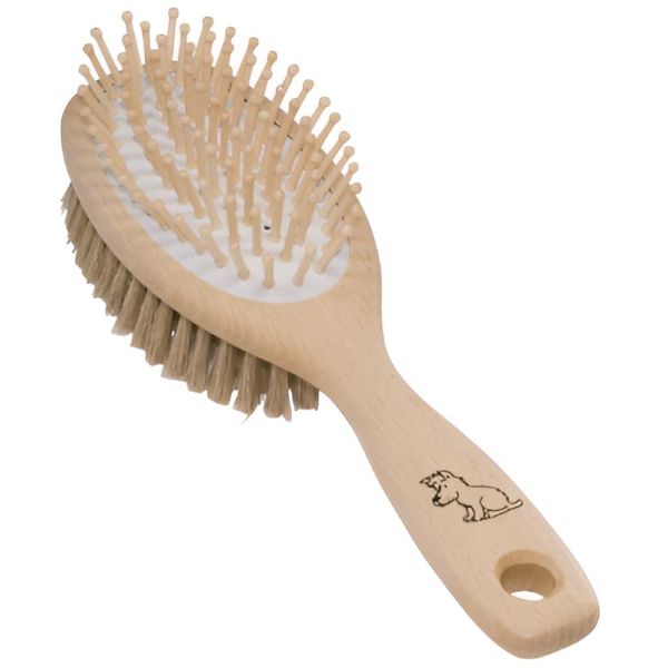 Brosse chien en soies claires et tiges de bois