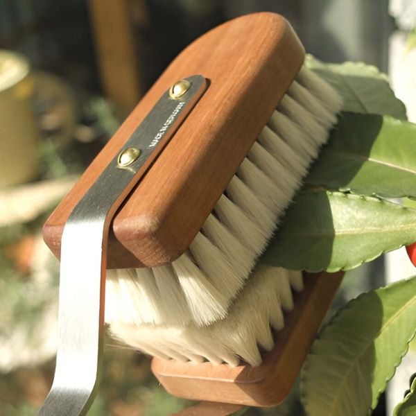 Brosse nettoyage feuilles de plantes - BUS-0127