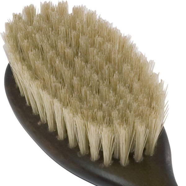 Brosse pelage de chat en soies claires - BUS-0142