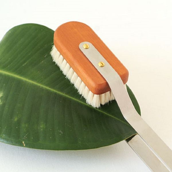 Brosse de nettoyage de légumes à feuilles de palmier - MIMASA