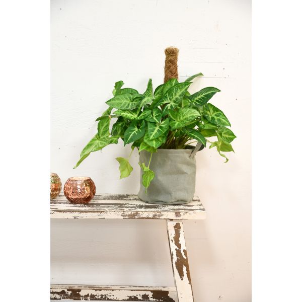 Cache pot en jute gris - AUBRY GASPARD