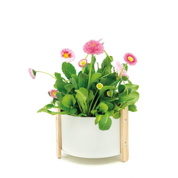 Cache-pot en métal laqué et bois - AUBRY GASPARD