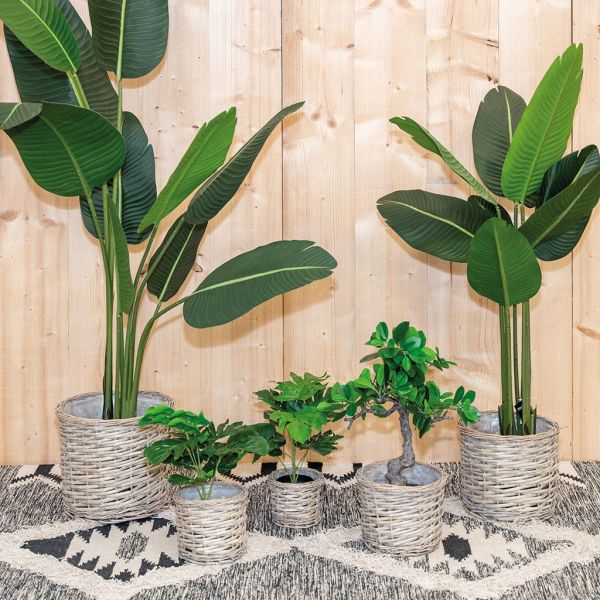 Cache pot rond en osier gris (Lot de 5) - AUBRY GASPARD