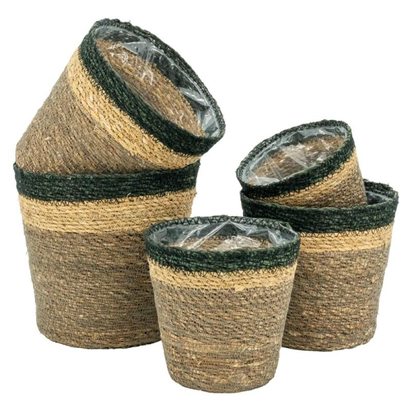 Cache-pots en jonc naturel brun et noir
